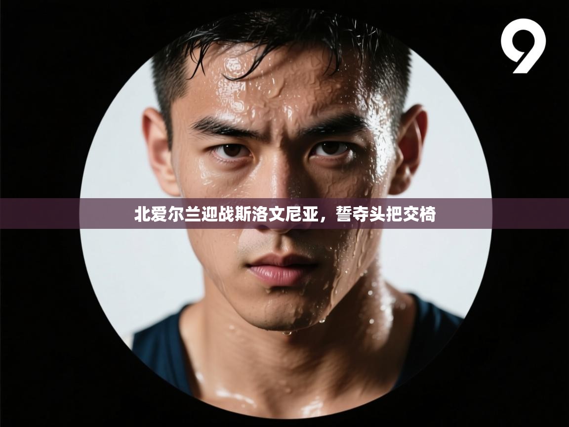 北爱尔兰迎战斯洛文尼亚，誓夺头把交椅  第2张