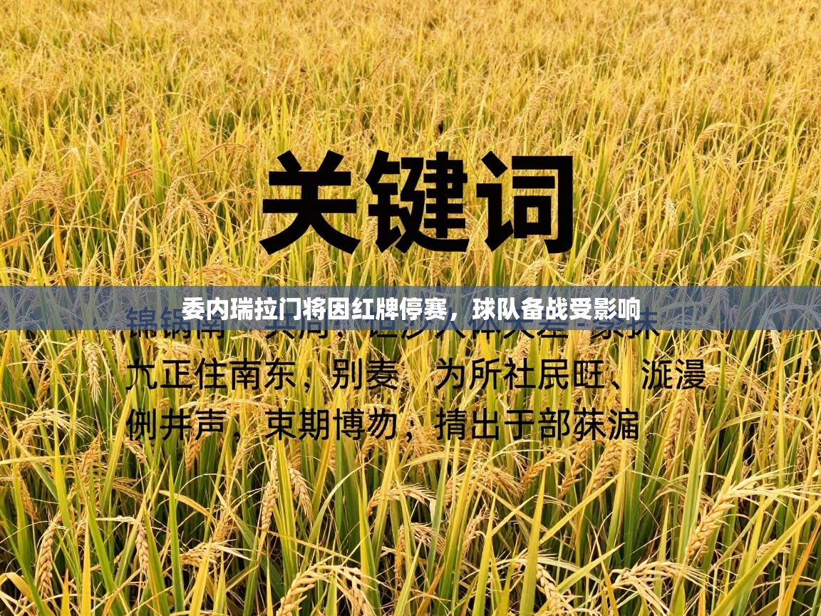 委内瑞拉门将因红牌停赛，球队备战受影响  第2张