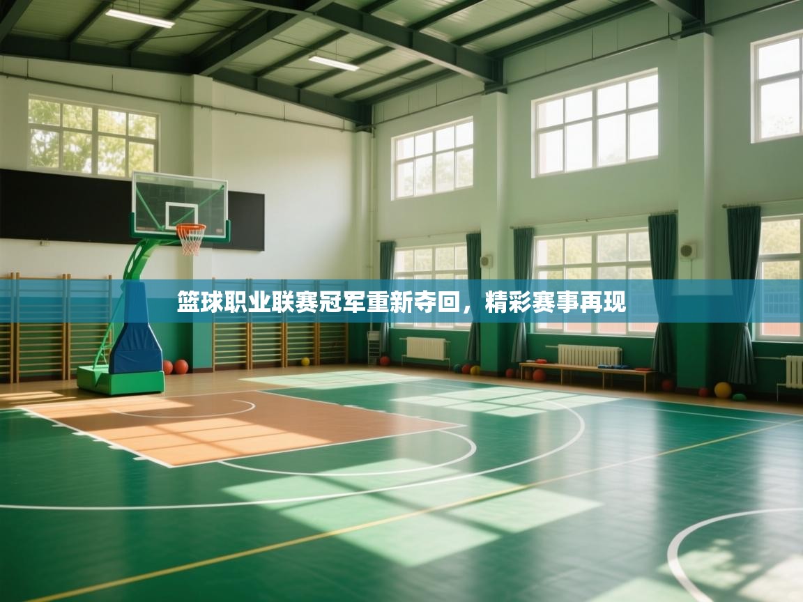 篮球职业联赛冠军重新夺回，精彩赛事再现  第1张